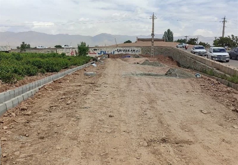 ترکیب برنج هاشمی با برنج ب1